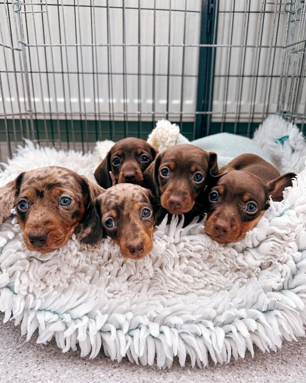 WhatsApp Image 2026 02 22 At 10.46.36