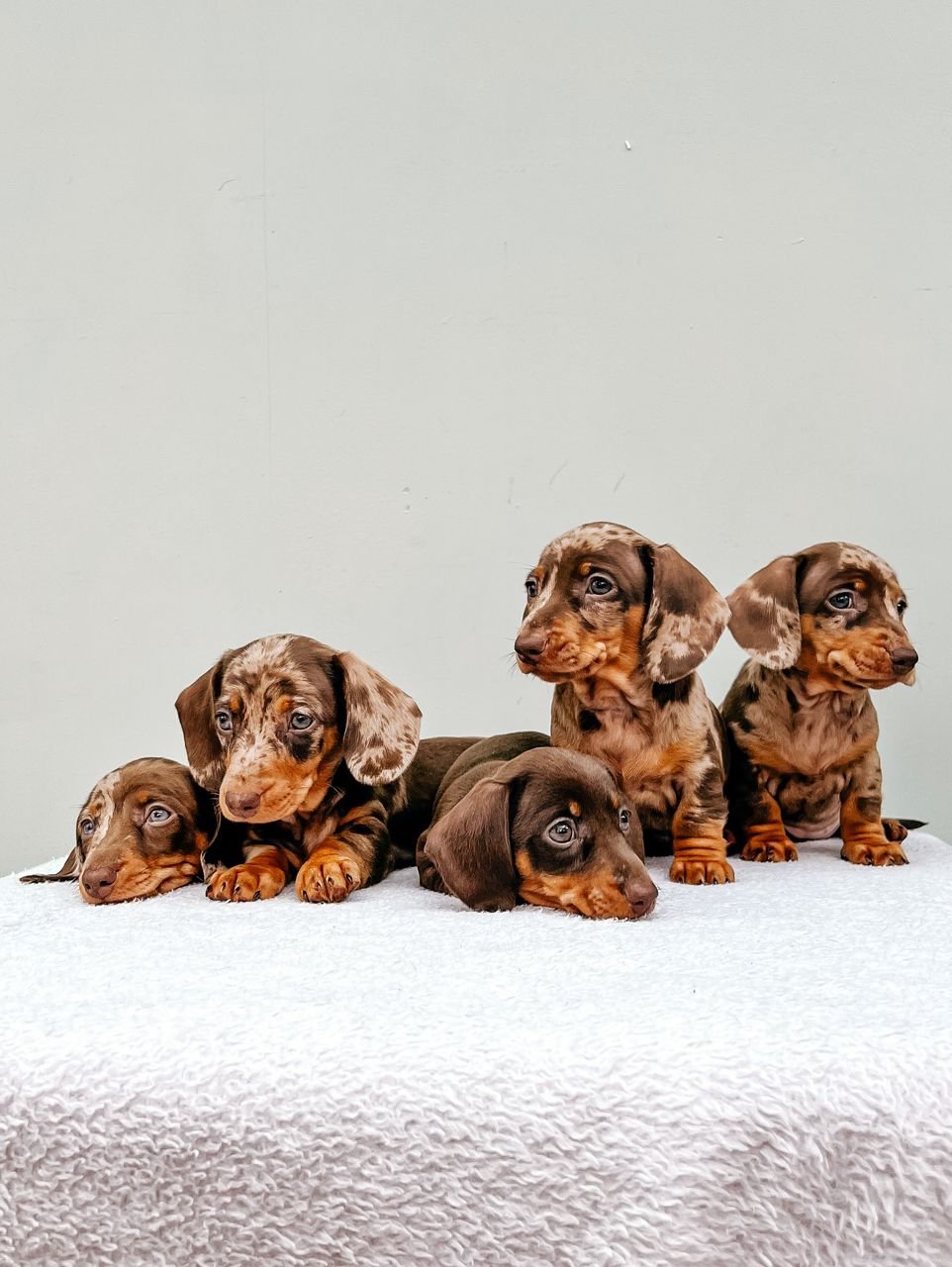 WhatsApp Image 2026 02 22 At 10.46.38 1