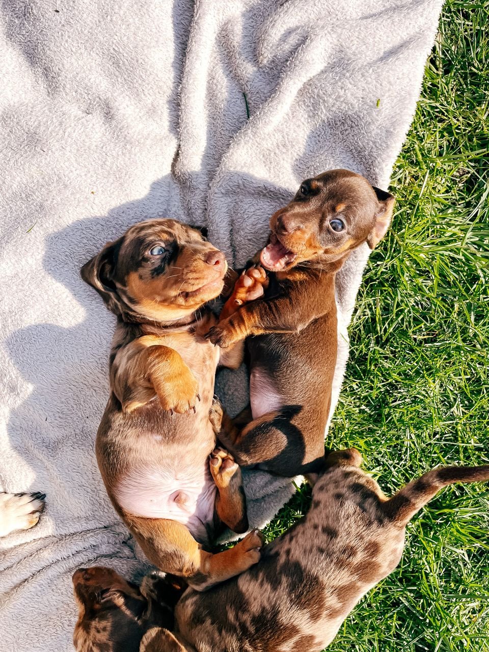 WhatsApp Image 2026 02 22 At 10.46.38