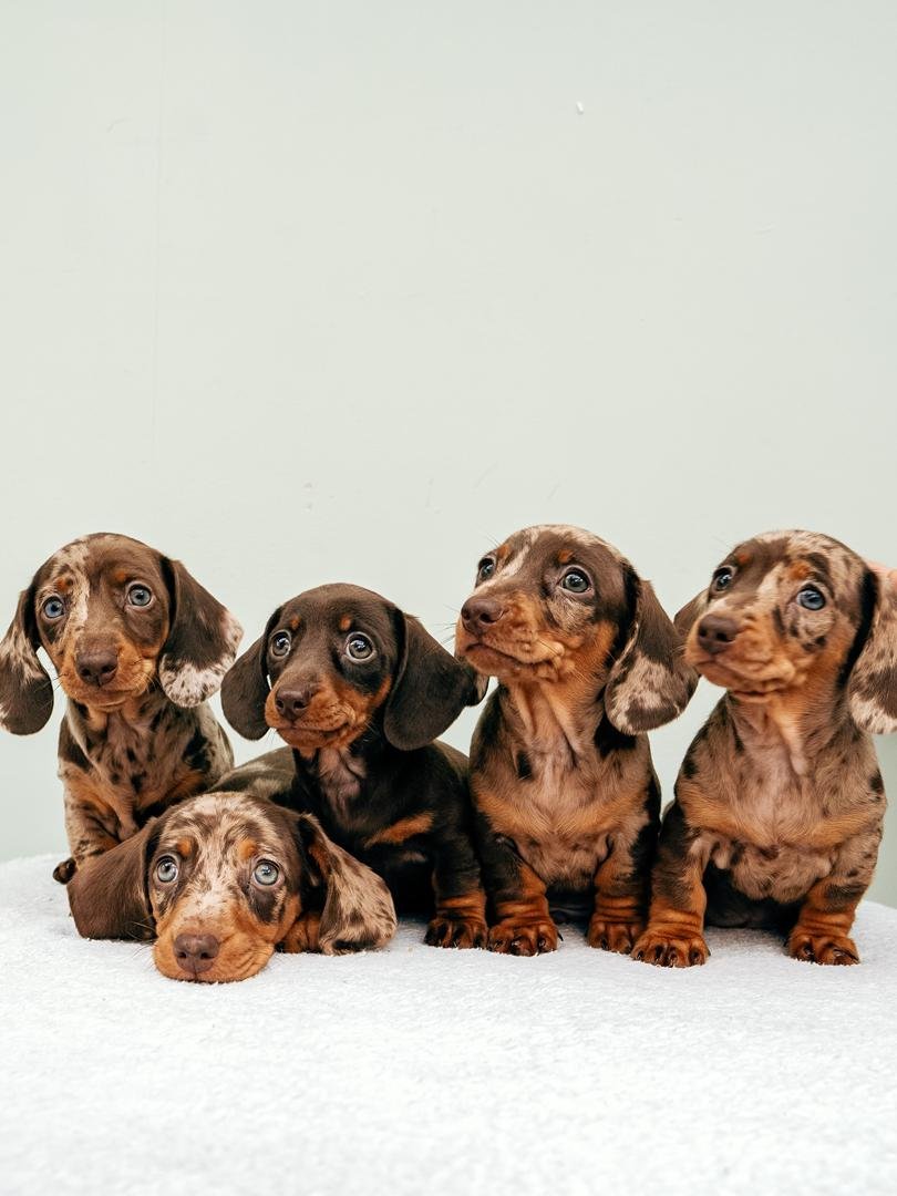 private-party-05 WhatsApp Image 2026 02 22 At 10.46.39