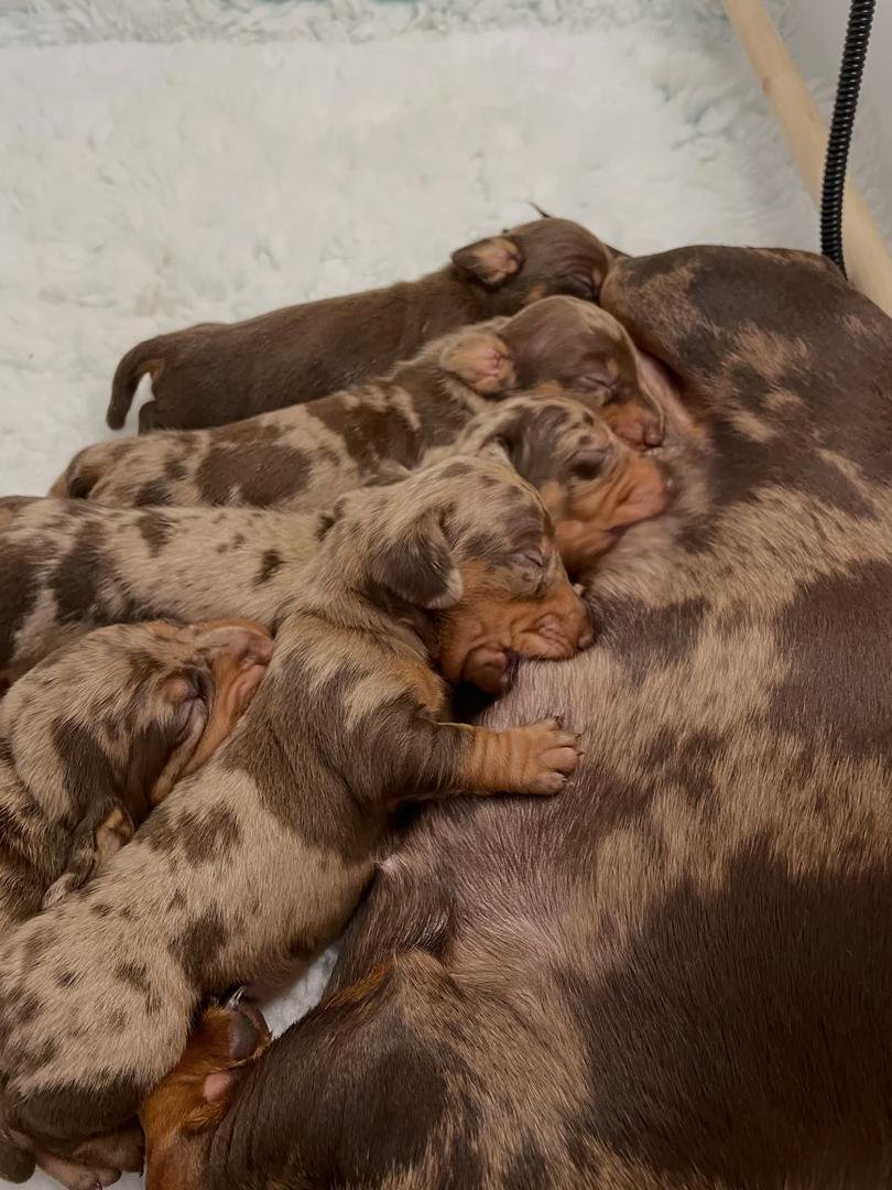 birthday-party-04 WhatsApp Image 2026 02 22 At 10.46.44