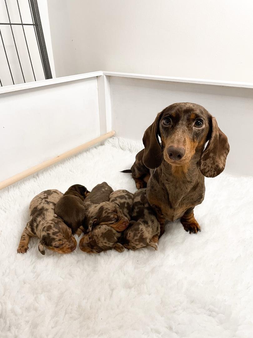 WhatsApp Image 2026 02 22 At 10.46.45