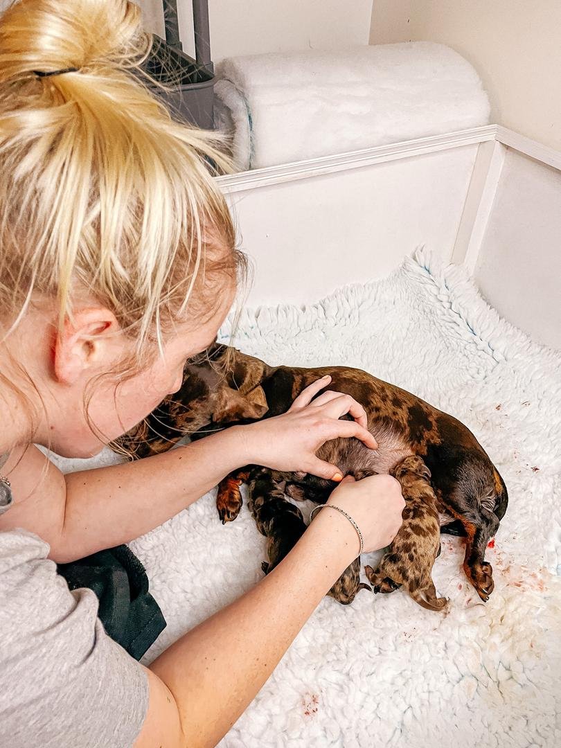 WhatsApp Image 2026 02 22 At 10.46.51