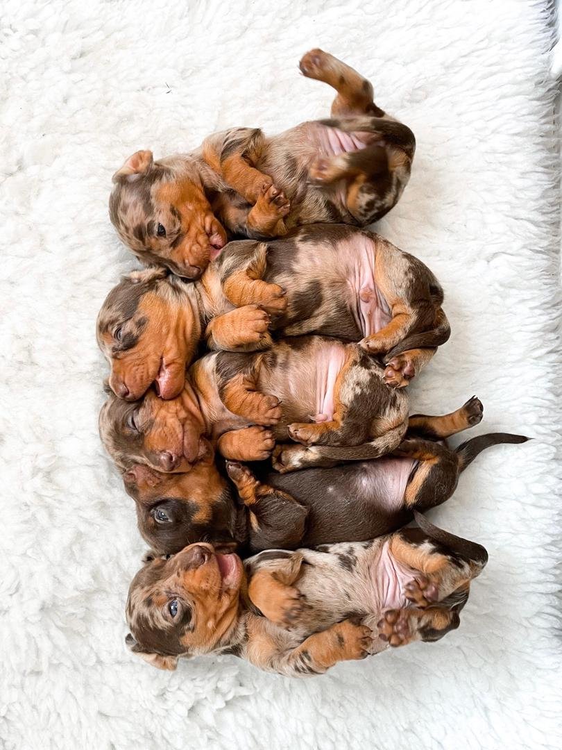 birthday-party-06 WhatsApp Image 2026 02 22 At 10.46.53