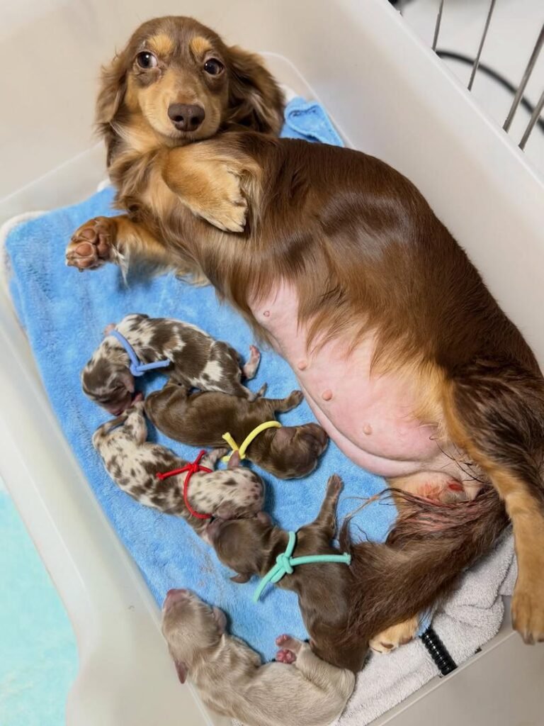 WhatsApp Image 2026 02 22 At 10.46.56 1 768x1024