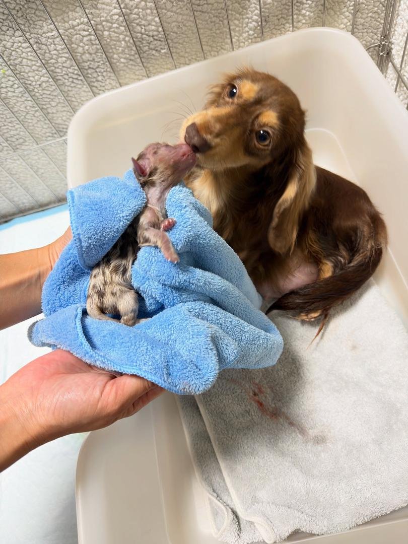 WhatsApp Image 2026 02 22 At 10.46.57 1