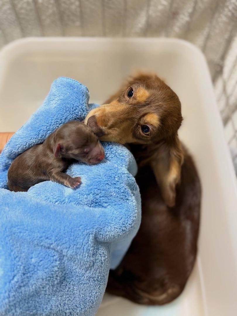 WhatsApp Image 2026 02 22 At 10.46.57 2